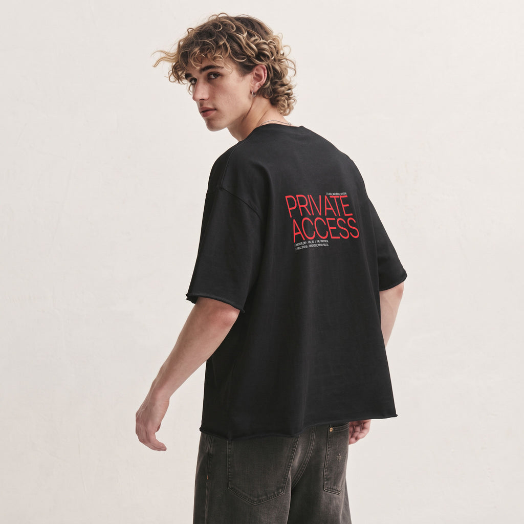 PRIVATE ACCESS | Unisex Oversized Heavyweight T-Shirt  | Vol. 2