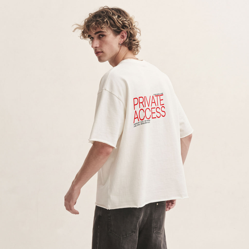 PRIVATE ACCESS | Unisex Oversized Heavyweight T-Shirt  | Vol. 2