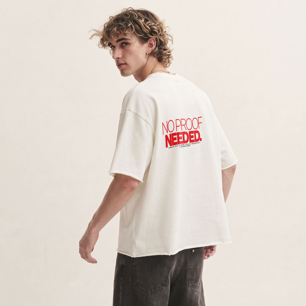 NO PROOF NEEDED | Unisex Oversized Heavyweight T-Shirt  | Vol. 2