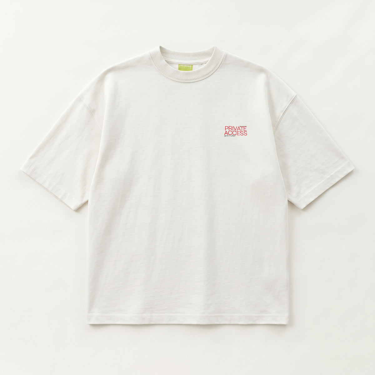 PRIVATE ACCESS | Unisex Oversized Heavyweight T-Shirt  | Vol. 2