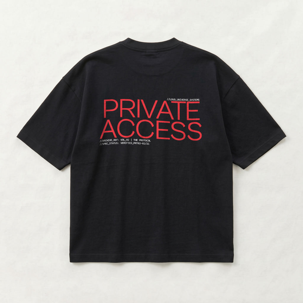 PRIVATE ACCESS | Unisex Oversized Heavyweight T-Shirt  | Vol. 2