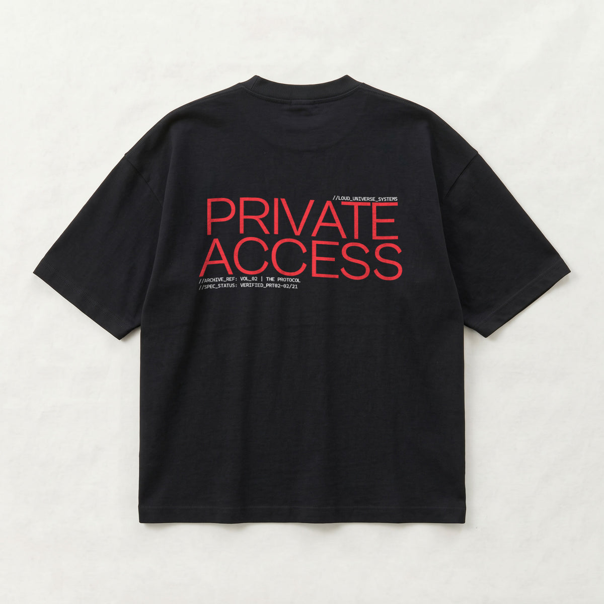 PRIVATE ACCESS | Unisex Oversized Heavyweight T-Shirt  | Vol. 2