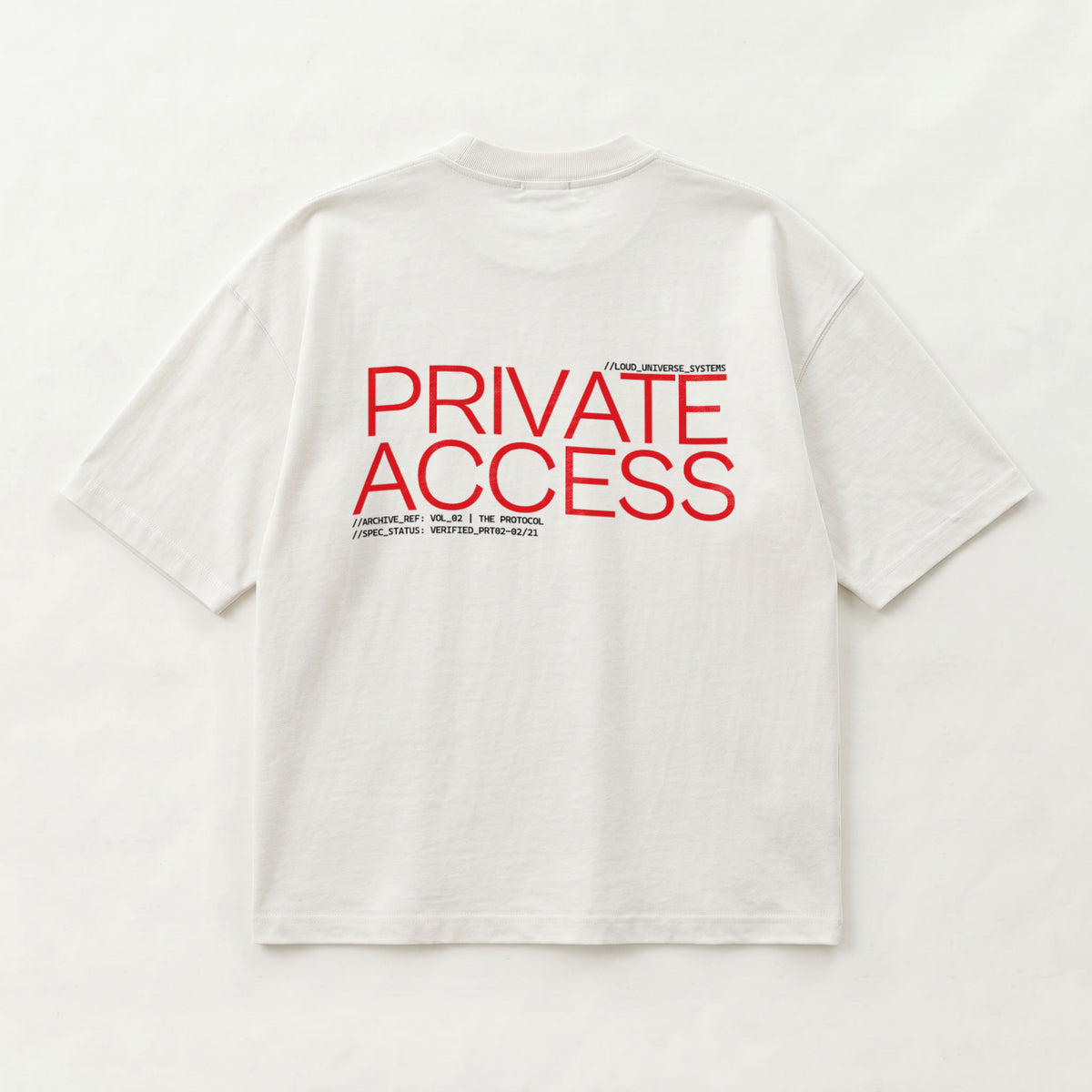 PRIVATE ACCESS | Unisex Oversized Heavyweight T-Shirt  | Vol. 2