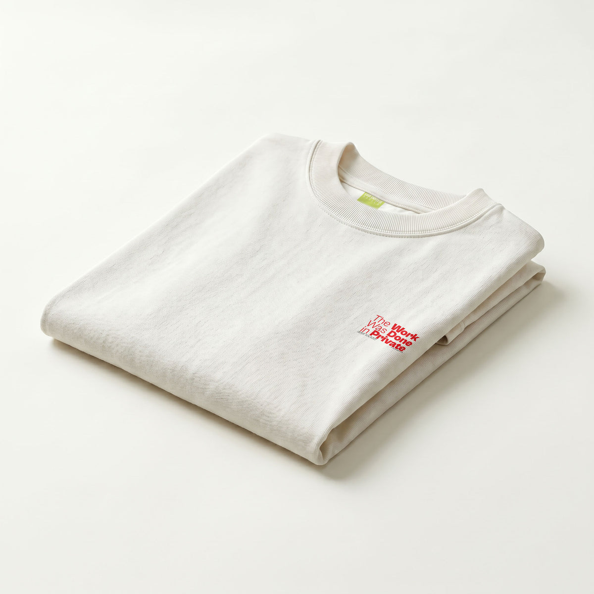 THE WORK WAS DONE IN PRIVATE | Unisex Oversized Heavyweight T-Shirt  | Vol. 2